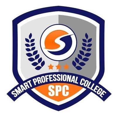 Smart Professional College